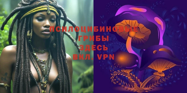 бошки Надым