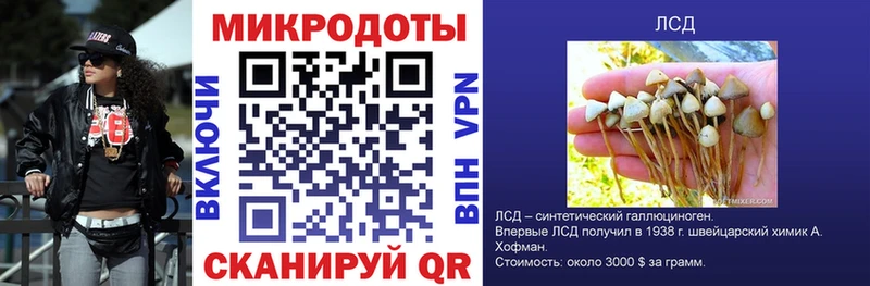 Купить закладки  Алексин  Псилоцибиновые грибы прущие грибы 